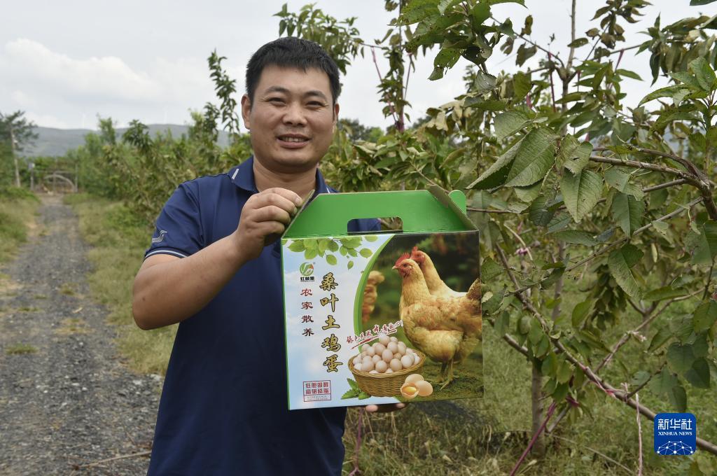 太阳集团游戏官方网址